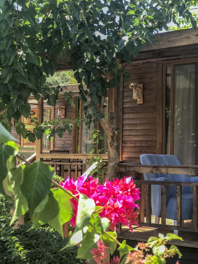 Bed and Breakfast Giritimu Evleri à Selimiye  Extérieur photo